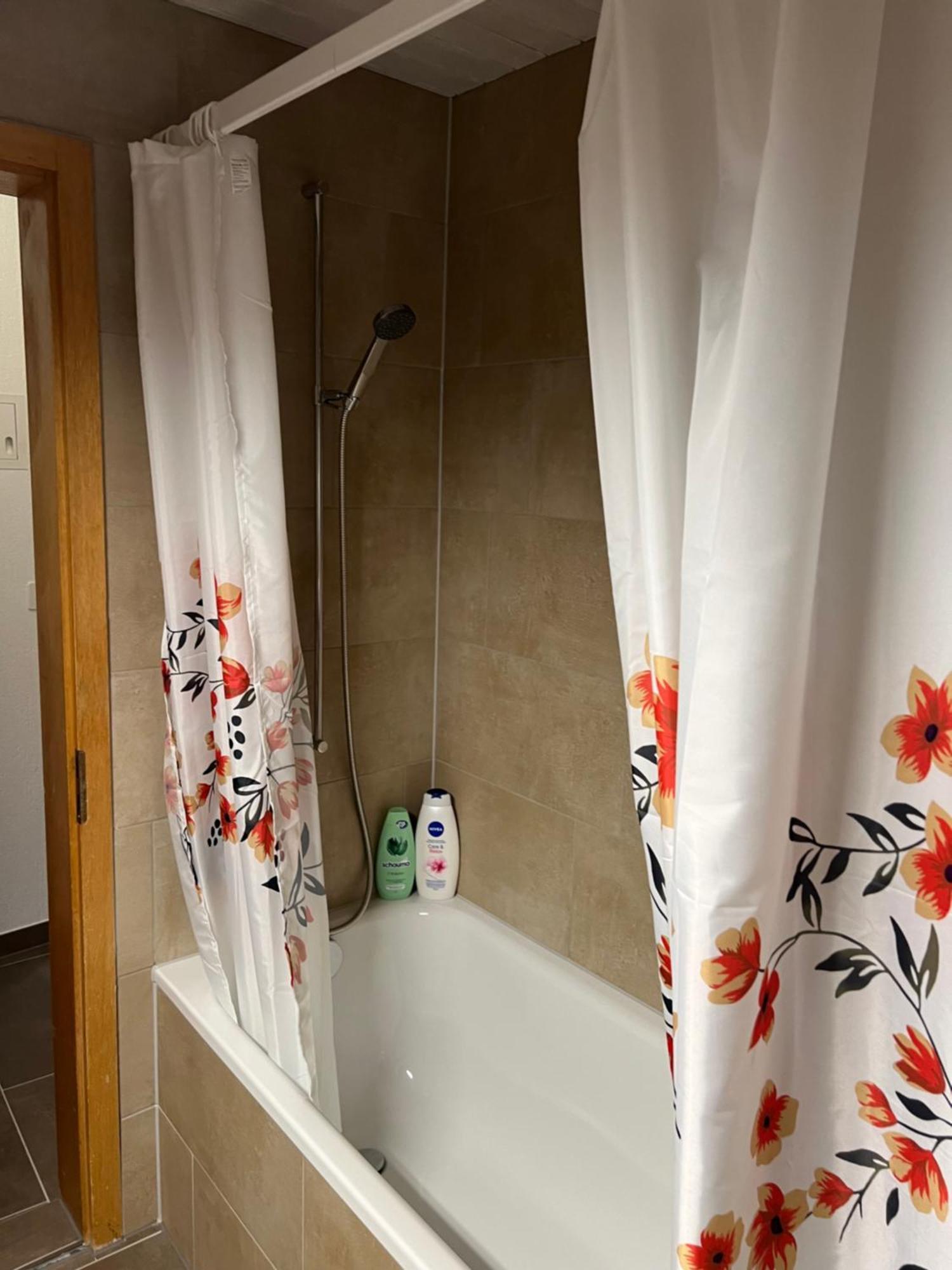 Apartament Rosy Interlaken Bagian luar foto